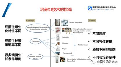 培養(yǎng)組通幽微世界，助力微生物資源大作為——記國家微生物科學數(shù)據(jù)中心網(wǎng)絡精品課網(wǎng)絡技術(shù)開發(fā)